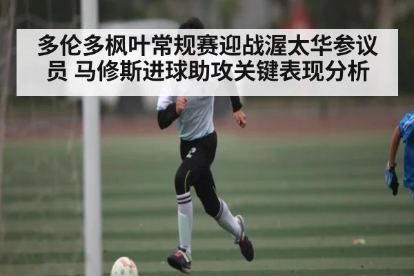 多伦多枫叶常规赛迎战渥太华参议员 马修斯进球助攻关键表现分析