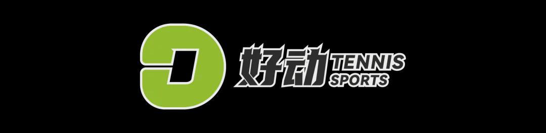 雷速官网-史上第二高价格 美网冠军奖杯被拍卖 前世界第一破产后 荣耀也成抵债品